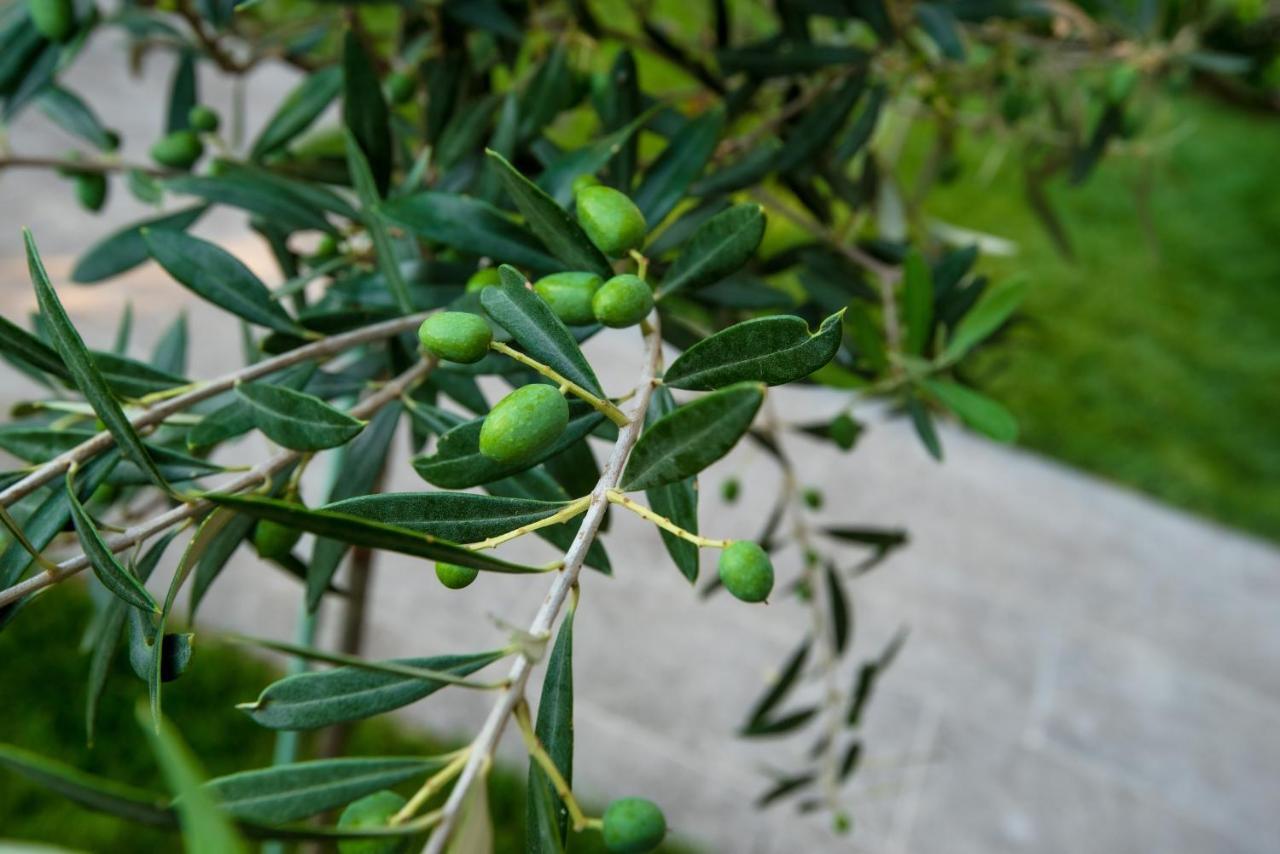 Olive 302 Apartment Peraia  Bagian luar foto
